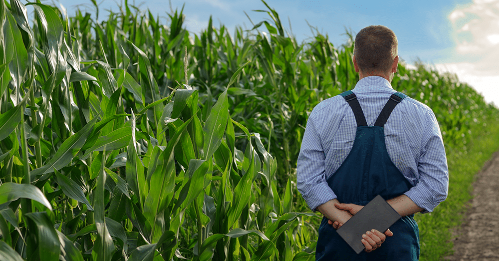 Smart Agriculture